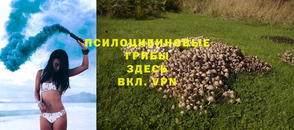 эйфоретик Арсеньев