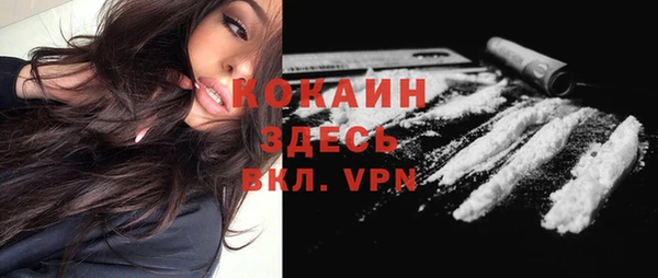 крисы Аркадак