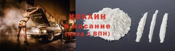 крисы Аркадак