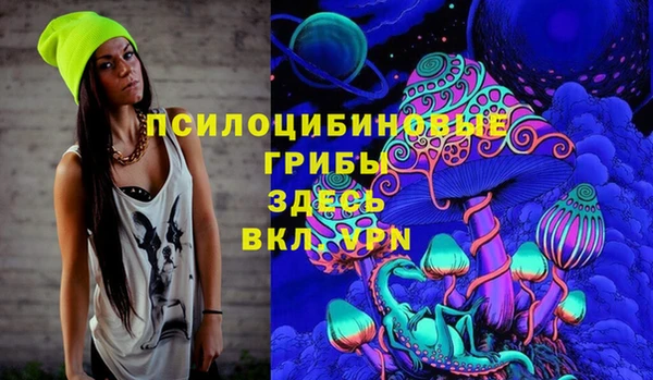 крисы Аркадак