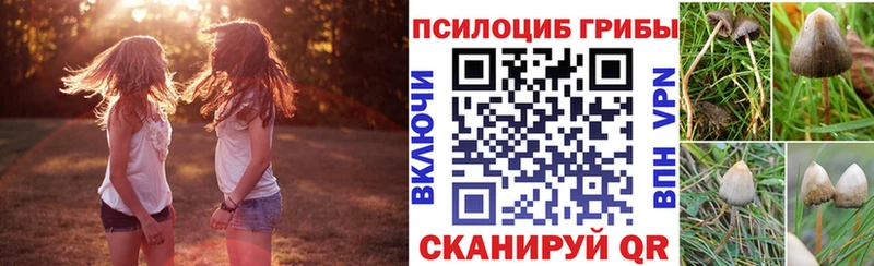 купить наркоту  Белокуриха  Галлюциногенные грибы GOLDEN TEACHER 