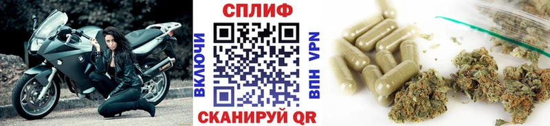 Конопля конопля  цены наркотик  Белокуриха 